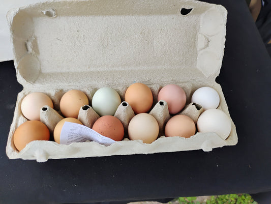 Local Free-Range Chicken Eggs - One Dozen
