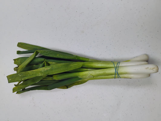 Fresh Green Onions – Locally Sourced